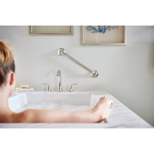 YG2818BN,24ORB,12BN Moen Eva Grab Bar & Reviews Wayfair